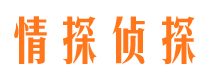 居巢寻人公司